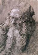 Albrecht Durer Study of a Man Aged oil on canvas